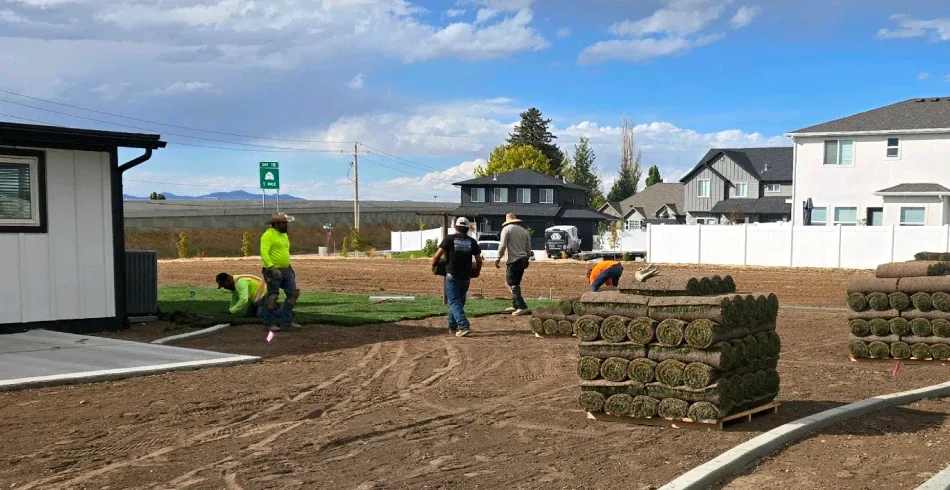 Sod Installation