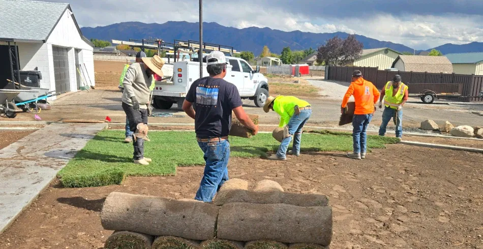Sod Installation
