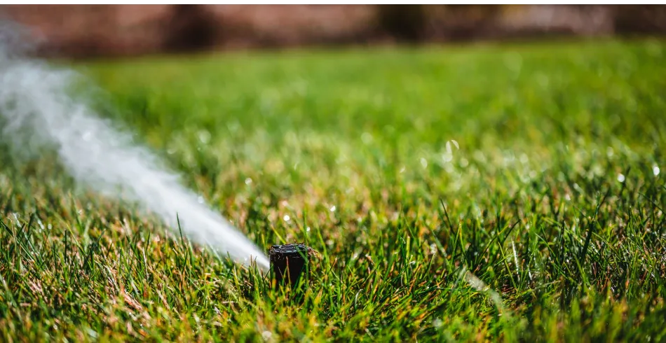 Sprinkler System Installation