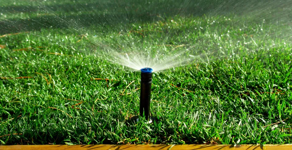 Sprinkler System Services