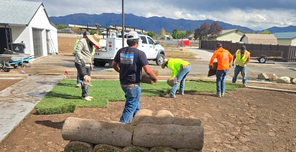 Sod Installation